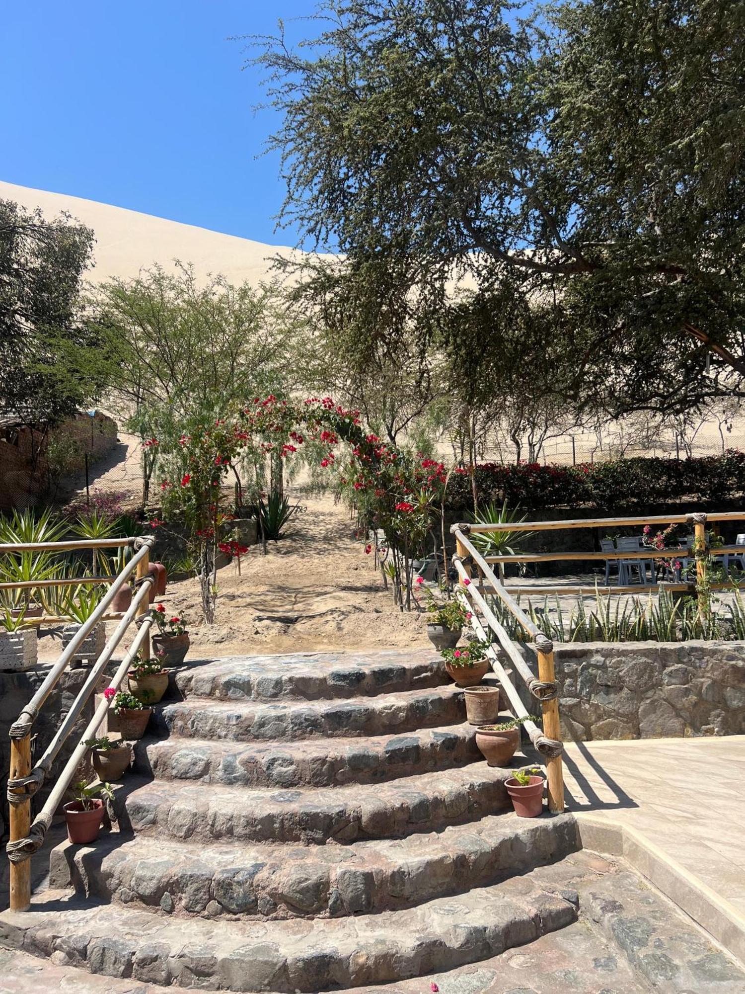 Hotel El Huacachinero إِكا المظهر الخارجي الصورة