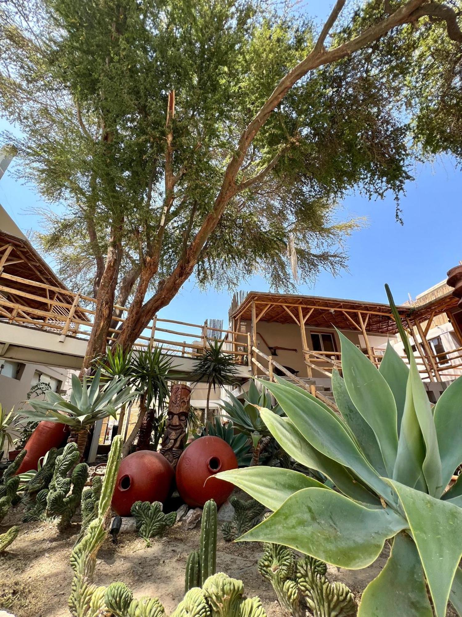 Hotel El Huacachinero إِكا المظهر الخارجي الصورة